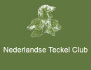 nederlandse_teckel_club_130x100_allesvan_valkenswaard